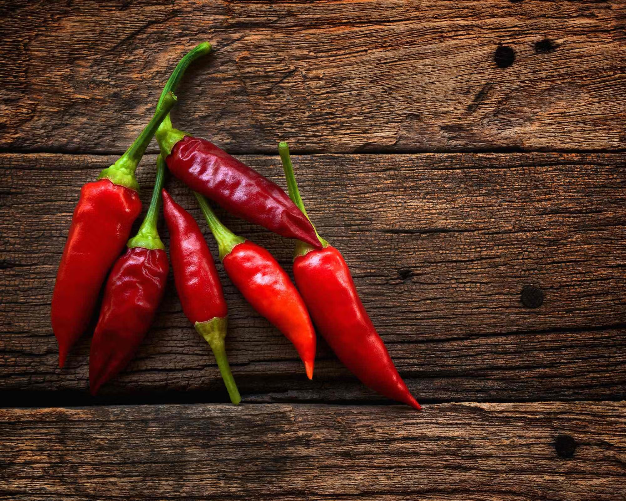Chili im Überblick